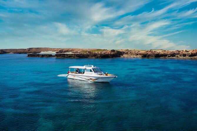 Daymaniyat Islands Snorkeling Sharing Trip - Reaching the island viewpoint and using the kayaks