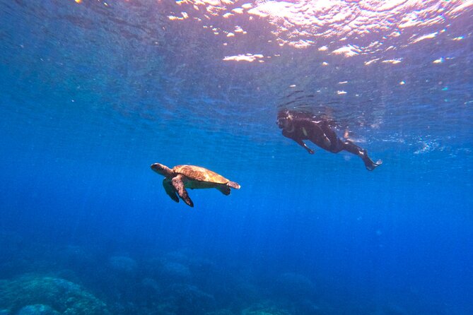 Daymaniyat Islands Snorkeling Sharing Trip - How the $106 price measures up