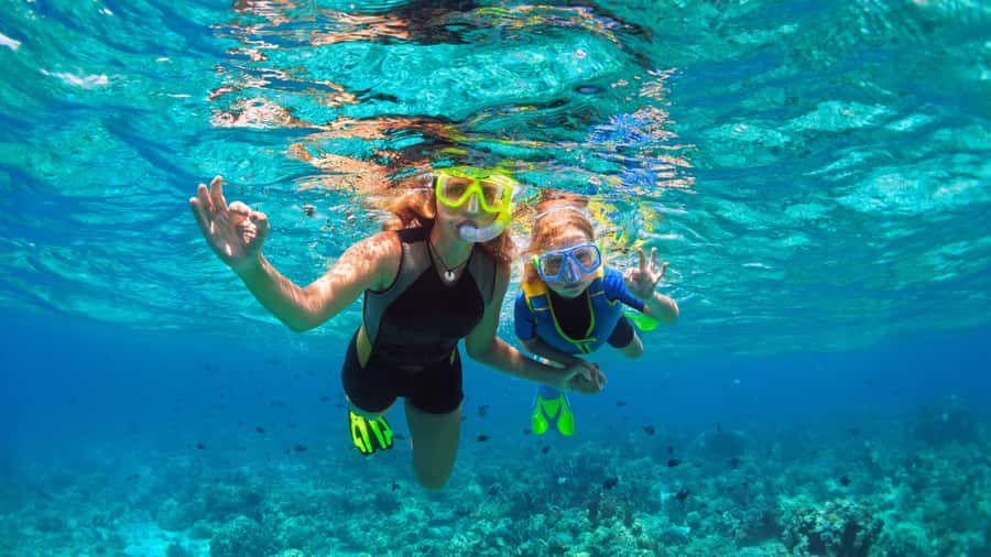 Daymaniyat Islands Snorkeling Small Group Turtles - Key points to know before you book