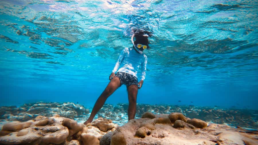 Daymaniyat Islands Snorkeling Small Group Turtles - Practical tips for a smoother morning