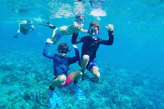 Daymaniyat Islands Snorkeling Tour - Snorkeling among corals and sea life