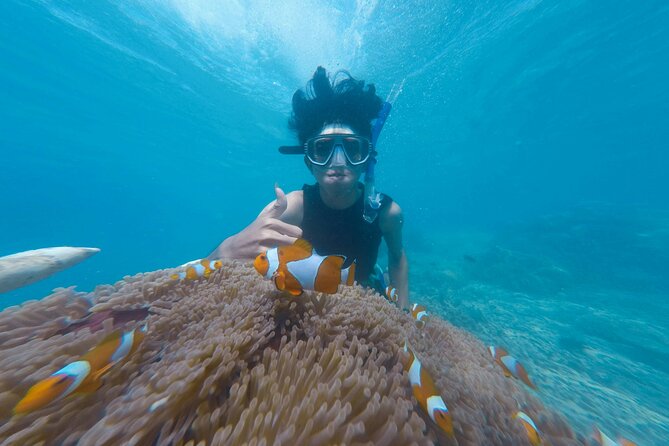 Daymaniyat Islands Snorkeling Tour - A possible beach stop and island walk