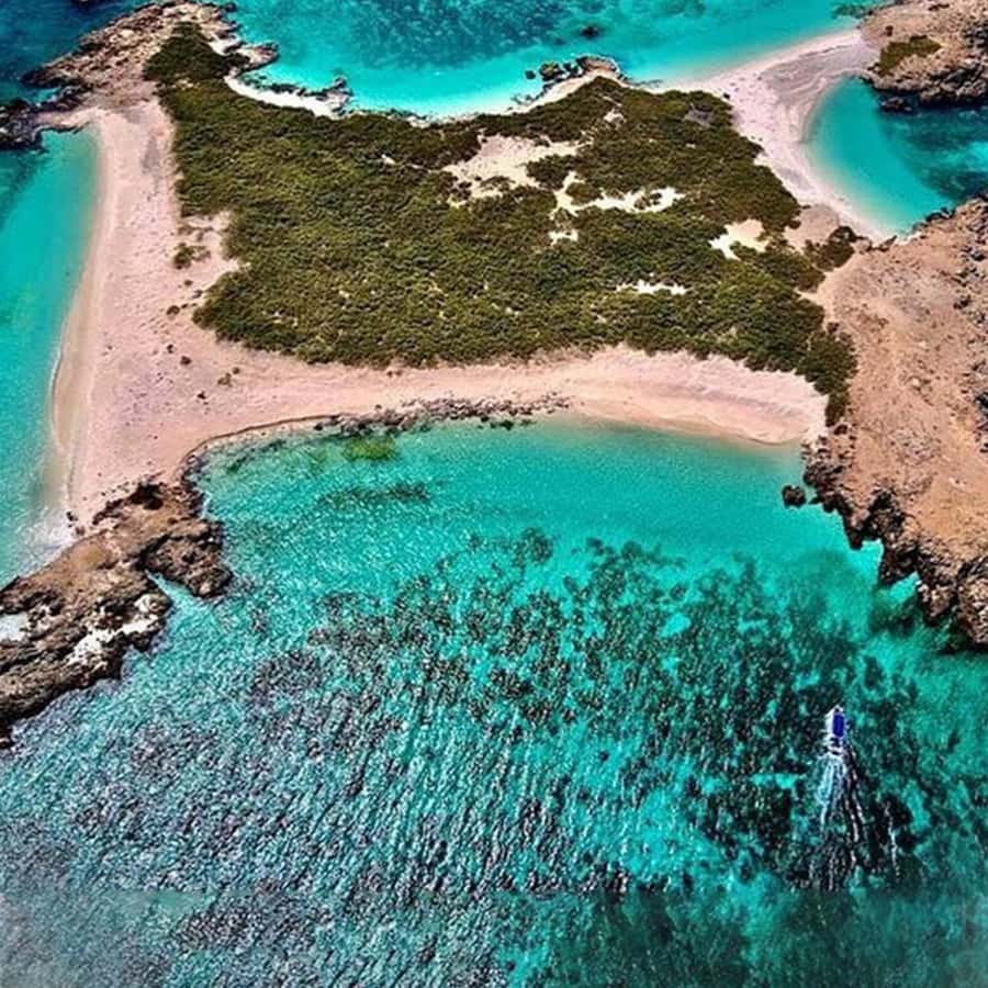 Daymaniyat Islands Snorkeling with Picnic Lunch - What $71 buys you