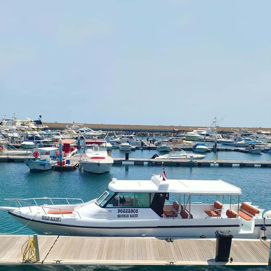 Daymaniyat Islands Snorkeling with Picnic Lunch - Booking tips that can prevent disappointment