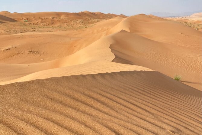 Desert Adventure with Off-Roading and Swimming in Wadi (Private). - 4x4 driving across the Golden Desert