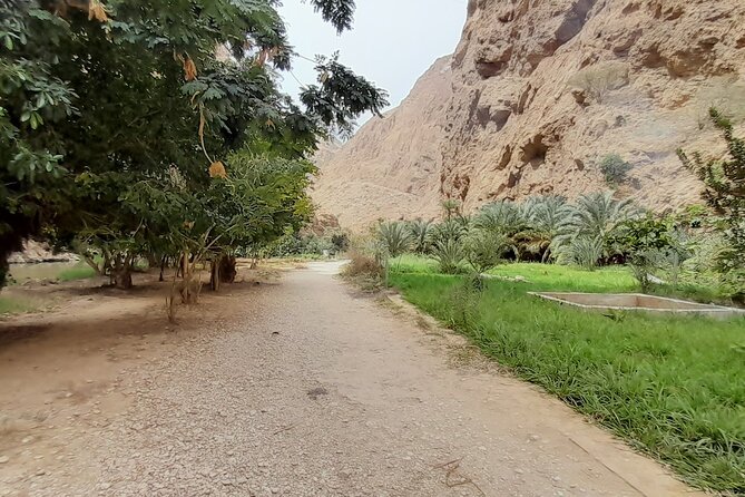 Desert Guided Overnight Camp Tour - Crossing the red dunes into Wahiba Sands