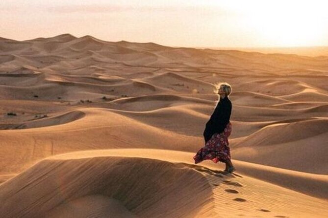 Desert Overnight in Private Bedouin Tent - Key points before you book