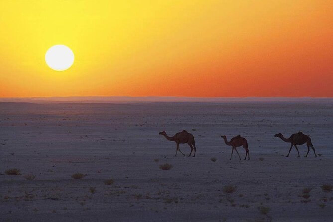 Desert Safari in Empty Quarter with Dune Bashing - Why the sunset timing needs attention