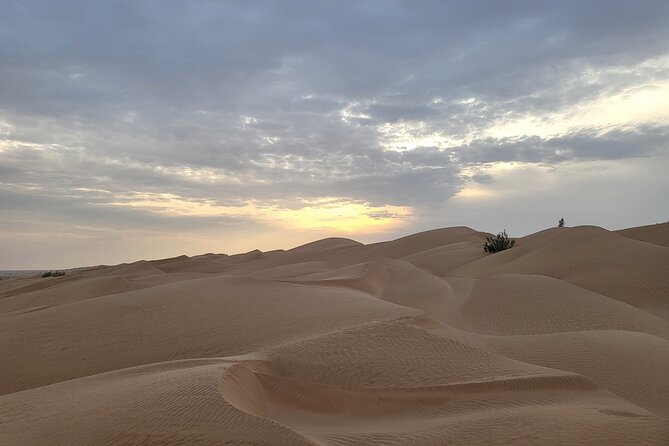 Desert Safari in Empty Quarter with Dune Bashing - Who will enjoy this day most