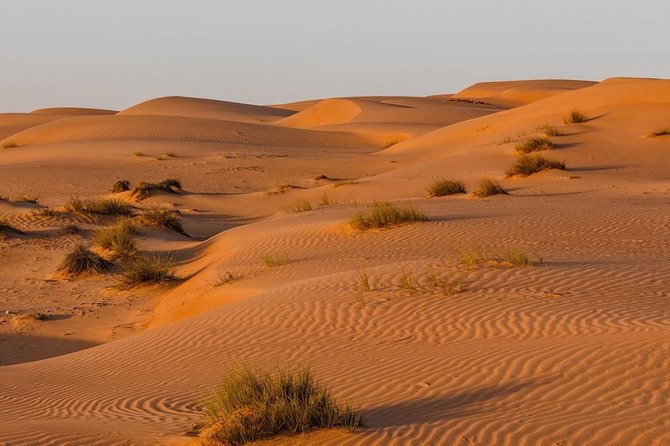 Desert Safari Private - Wahiba Sands and its high orange dunes