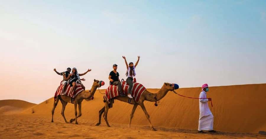 Desert Safari - Private 4WD car - Who will enjoy this safari most