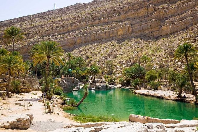 Desert Safari Sharing Tours - Sharing transport, group size, and comfort
