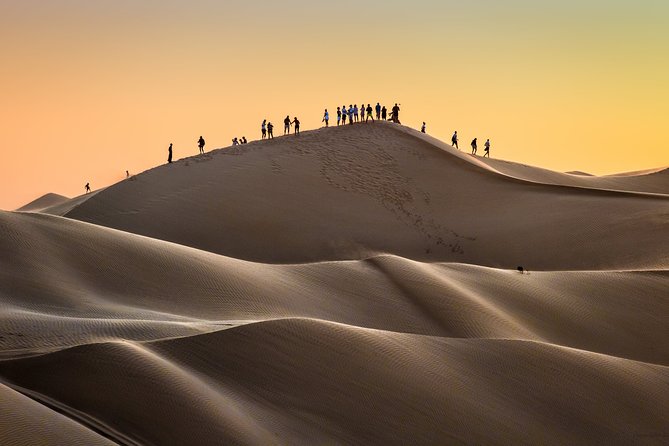 Desert Safari Trip Full Day & Ubar Lost city - What the $195 price really covers
