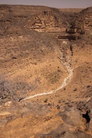Desert Sunset Magic – Salalah Empty Quarter Experience - Five things to know before you go