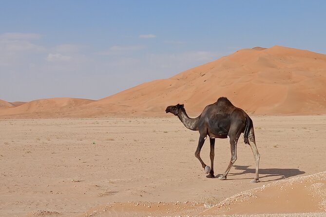 Desert Sunset Tour VisitSalalah - Sunset in the Empty Quarter