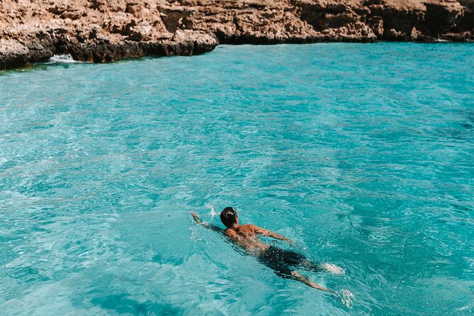 Dimaniyat Island Tour on Glass Bottom Boat (Muscat) - Dolphins and coastal views from Muscat
