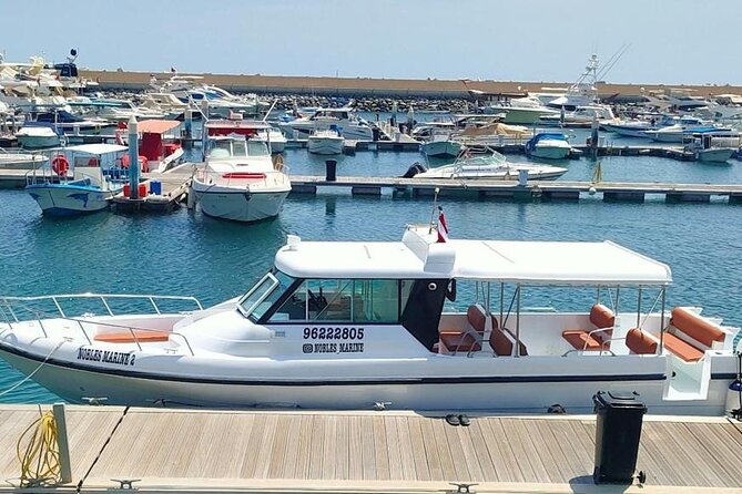 Dimaniyat Island Tour with Snorkeling - Dolphins, beaches, and a change of pace