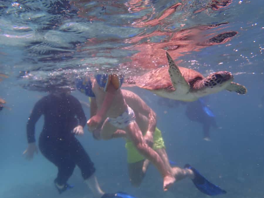 Dimaniyat Islands Snorkeling Trip - Setting out from Al-Seeb Port at 8:20 AM