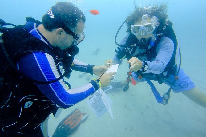 Discover Scuba Diving from a Fishing Village - Meeting the fish and turtles at Qantab home reef
