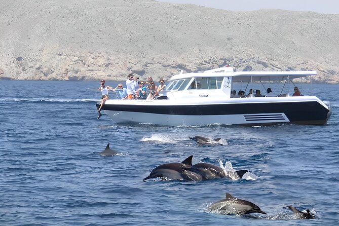 Dolphin Watching and Snorkeling Activity in Muscat - Quick facts about the Muscat dolphin and snorkeling trip