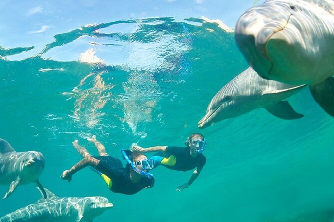 Dolphin Watching and Snorkeling Activity in Muscat - Snacks, drinks, and the practical value of the morning