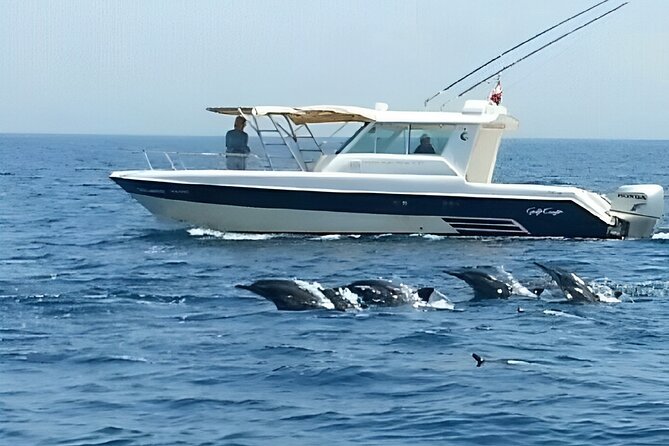 Dolphin Watching and Snorkeling Activity in Muscat - The three-hour timing needs careful reading