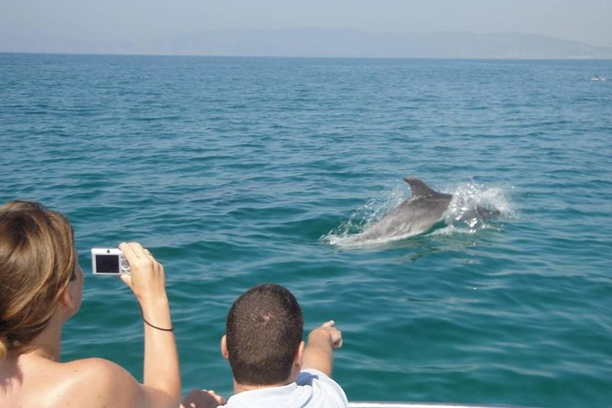 Dolphin Watching and Snorkeling Tour from Muscat - Who will enjoy this morning most?