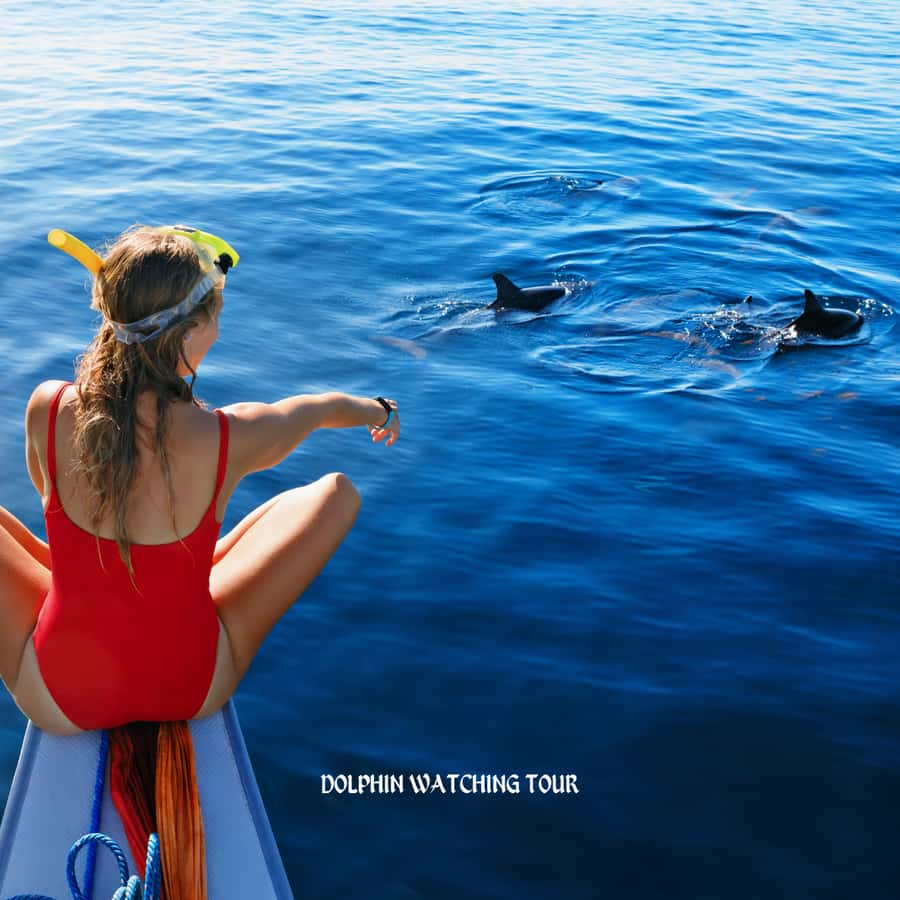 Dolphin Watching and Snorkeling Tour with Hotel Transfers - What happens at Bandar Al Rowdha Marina