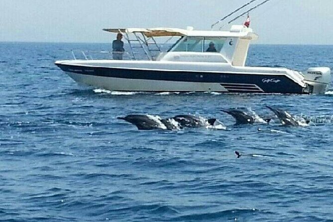 Dolphin Watching in Muscat - Who will enjoy this boat trip most