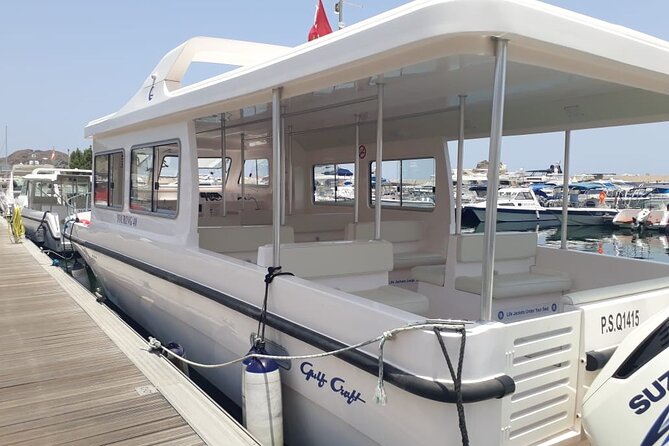 Dolphin Watching in Muscat - Qantab Beach and the snorkeling stop