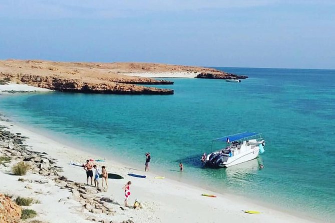 Dolphin Watching & Snorkeling - Key points to know before you go