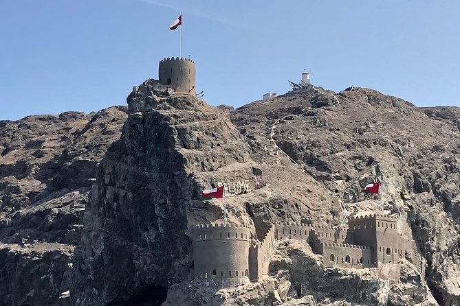 Dolphin Watching & Snorkeling - A water-level tour of Oman’s coast