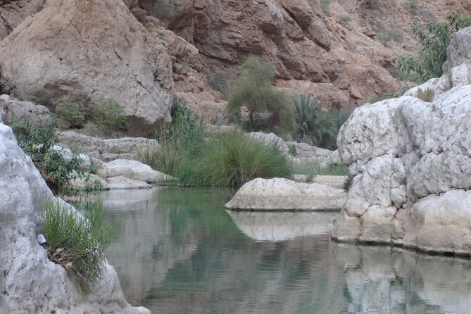 East Coast and Wadi Shab tour - Sur brings boats, old houses, and the sea