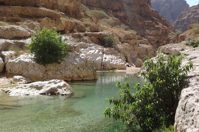 East Coast and Wadi Shab tour - Qalhat connects ruins with Omani history