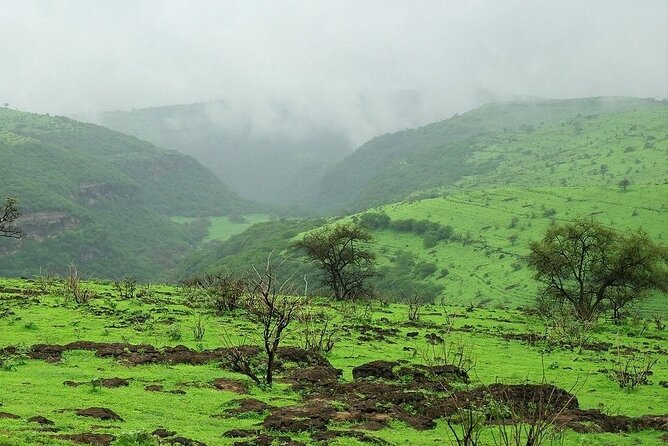 East of Salalah, Mountain Safari, Camels, Waterfall, White beach - Baobab Trees in Wadi Hannah