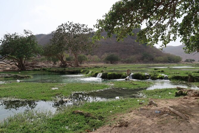 East of Salalah, Mountain Safari, Camels, Waterfall, White beach - The Anti-Gravity Hill: A Small, Playful Stop