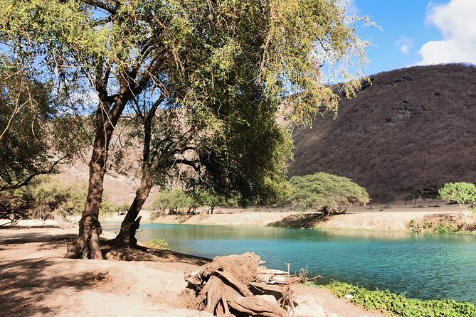 East Salalah Highlights: Half-Day Heritage & Scenic Countryside - Sumhuram, the ancient port above Khor Rori