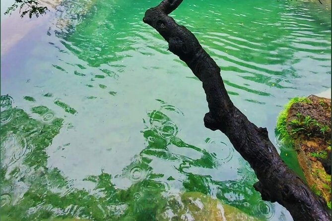 East Salalah Mountain Safari - The anti-gravity point is brief but playful