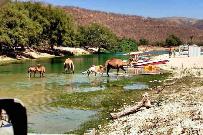 East Salalah Private Tour by VisitSalalah - The Frankincense Connection Near Khor Rori