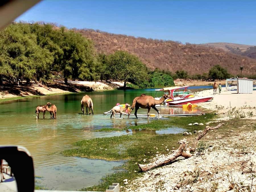 East Salalah Tour by VisitSalalah - Five things to know before booking