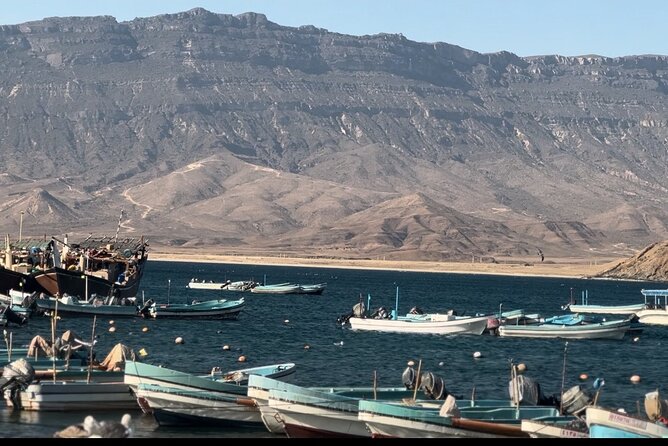 East Salalah tour Full day (private tour) - Wadi Darbat, animals, and a short pause