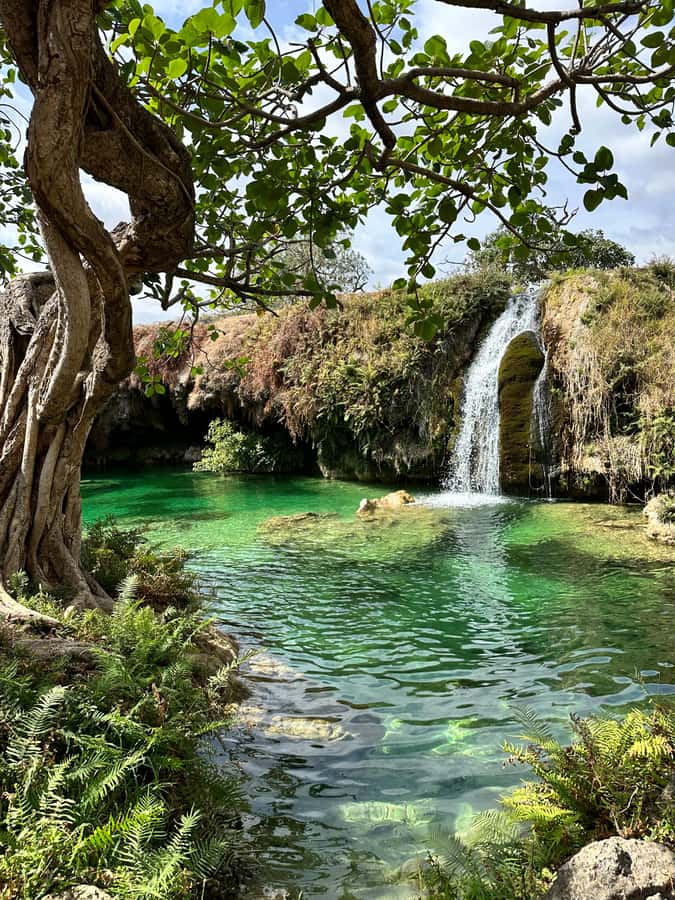 Elite Private Full Day Tour - Salalah Main Attractions - Wadi Derbat and One of Oman’s Major Waterfalls