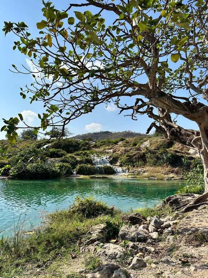 Elite Private Full Day Tour - Salalah Main Attractions - Ain Sahlanout: A Short Spring Stop