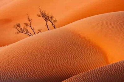 Empty Quarter And Lost City Of Ubar