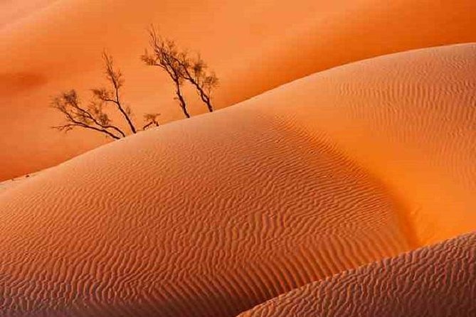 Empty Quarter And Lost City Of Ubar - A brief stop in Thumrait’s Bedouin past