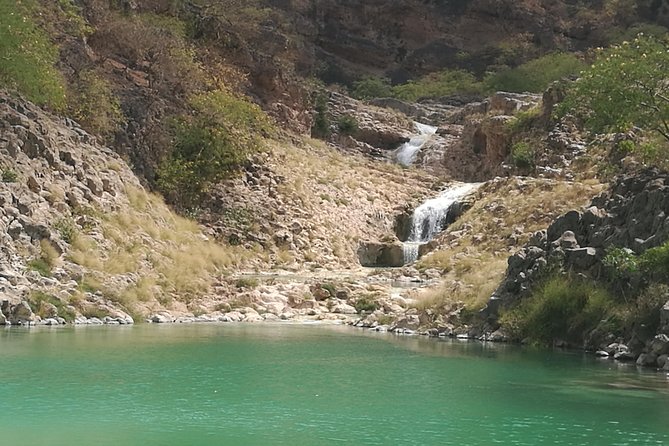 Enjoy a Full-Day Tour Uncovering East Salalah’s Hidden Gems - Wadi Darbat is the natural centerpiece
