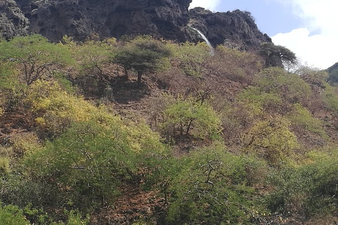 Enjoy a Full-Day Tour Uncovering East Salalah’s Hidden Gems - Hinnah Valley reveals Dhofar’s rare baobab trees