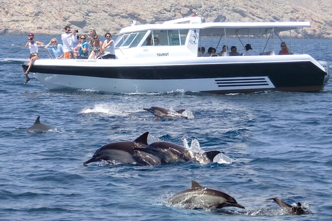 Experience Dolphin watching and snorkeling in Muscat - Key points to know before booking