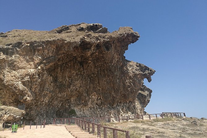 Explore West Salalah’s Stunning Natural Scenery - a Full-Day Tour - Why western Salalah deserves a full day