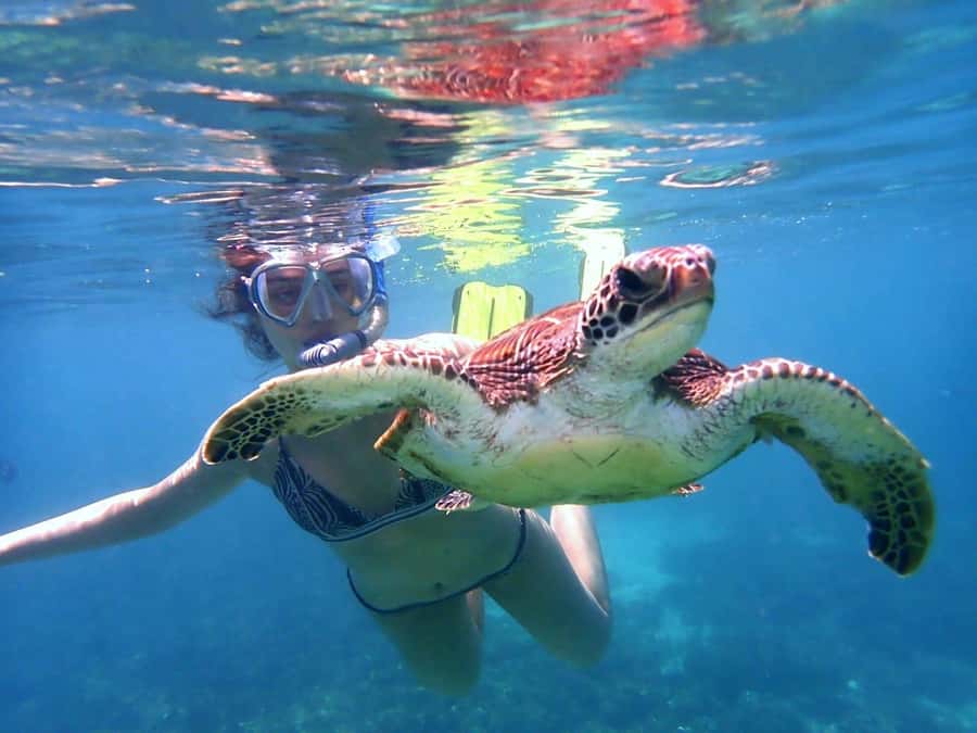From Al-Seeb: Dimaniyat Islands Boat Trip with Snorkeling - A useful break with sandwiches, fruit, and cold drinks